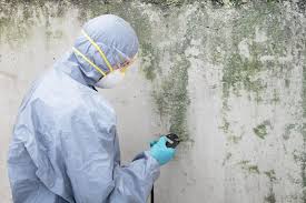 Best Water Damage & Mold Remediation  in Whitesboro, NY